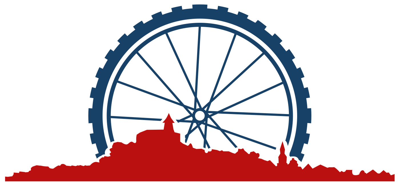 RSV Vaihingen an der Enz Logo